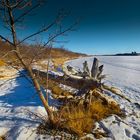 Frozen Lake