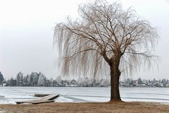 .:: Frozen Lake •Illustriert• ::.