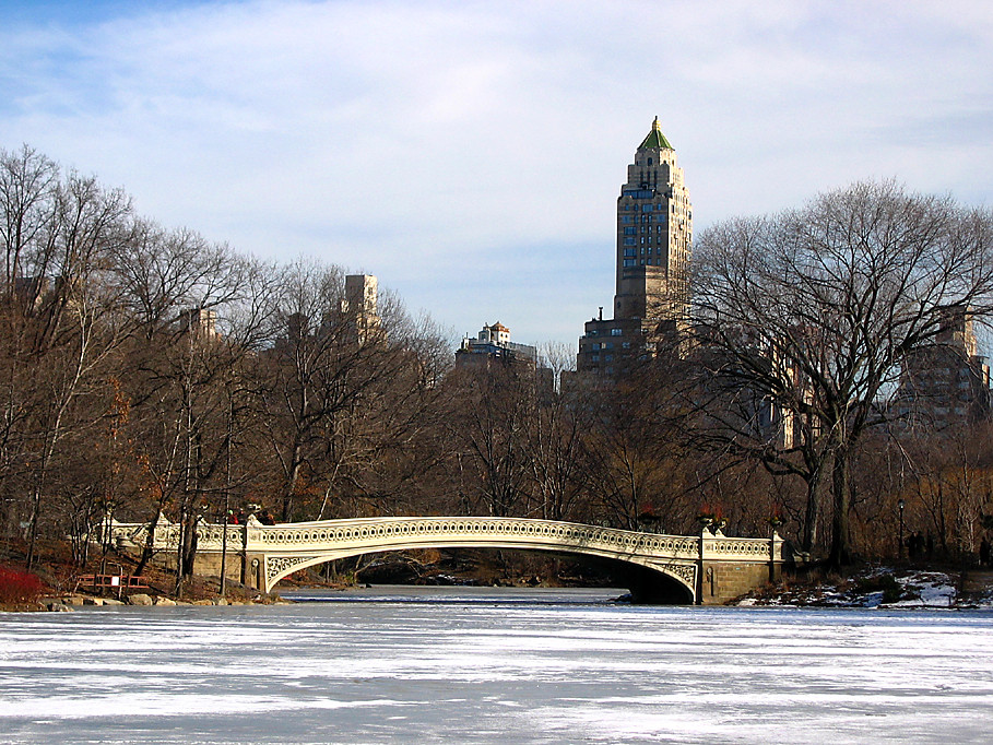 Frozen lake in Central Park