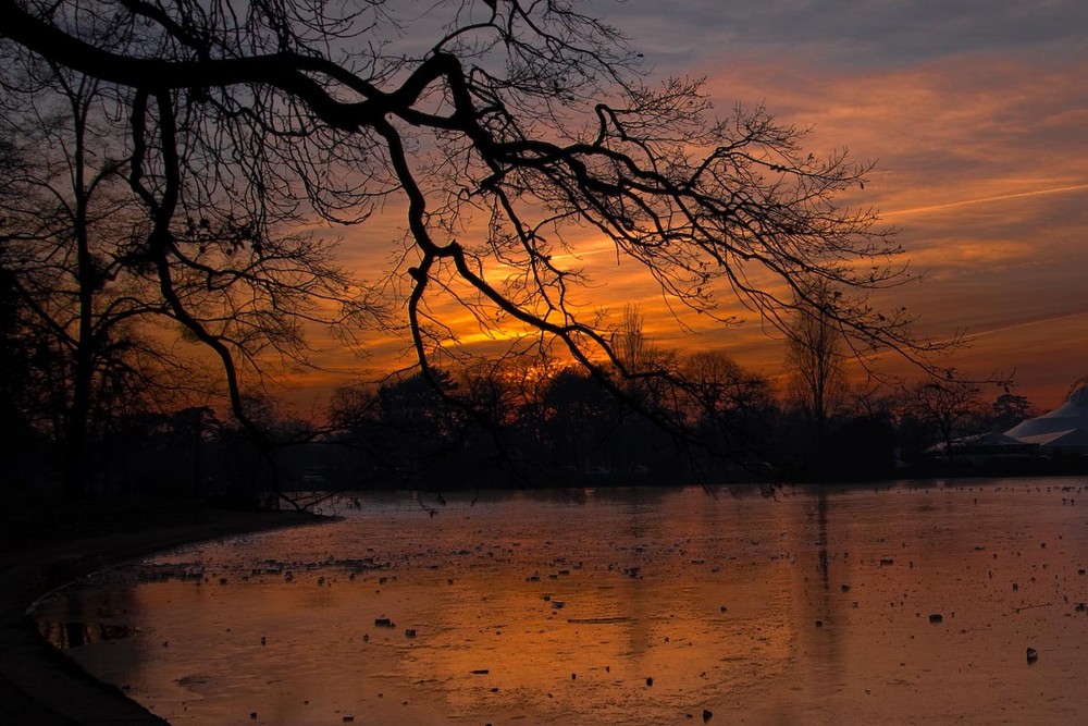 Frozen lake in Paris