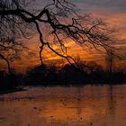 Frozen lake in Paris