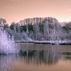 Frozen Lake (IR)