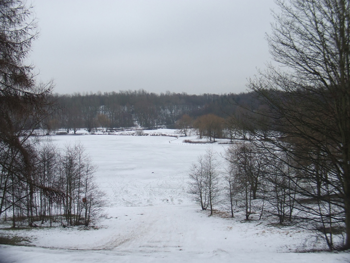 Frozen lake two