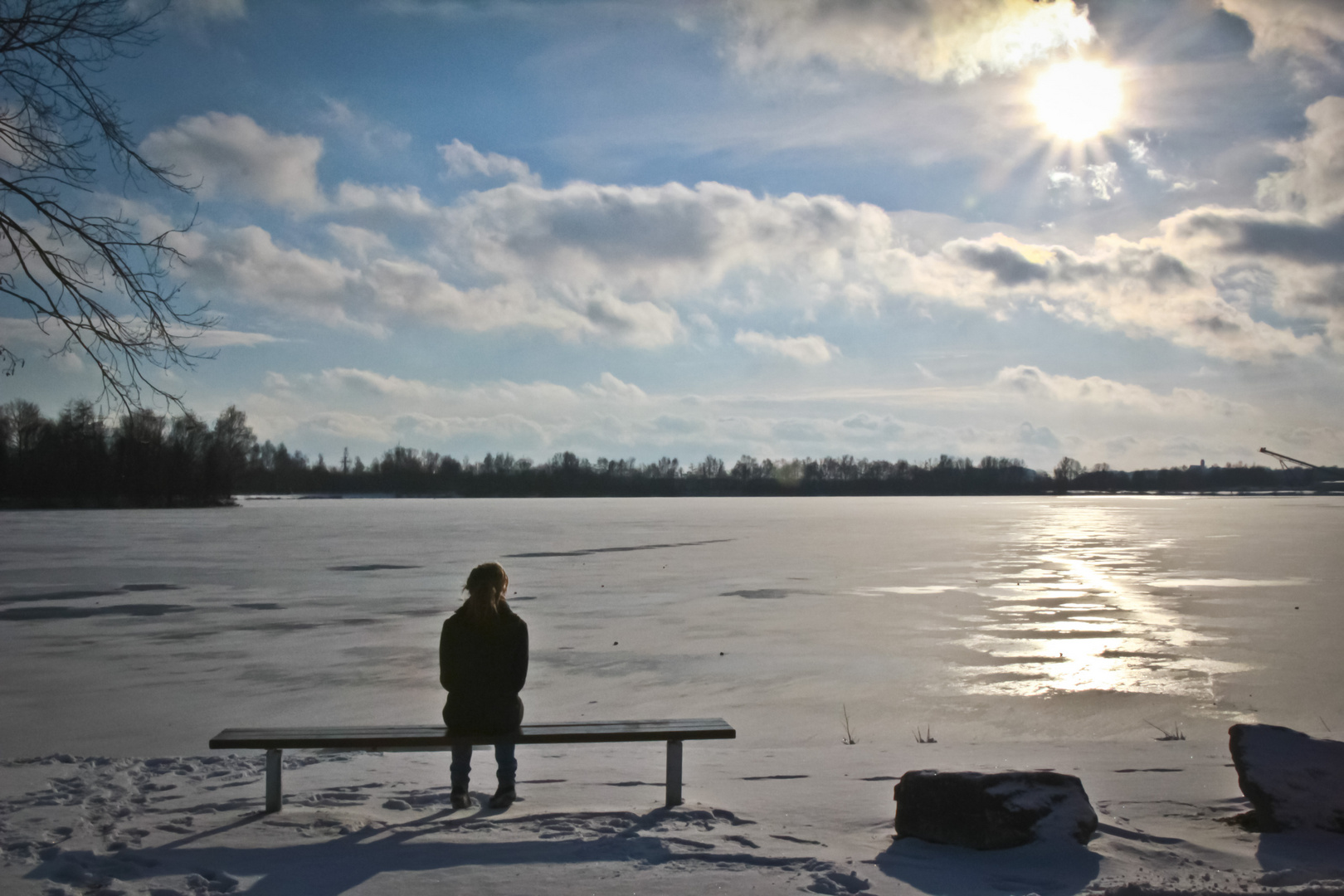 Frozen Lakeside