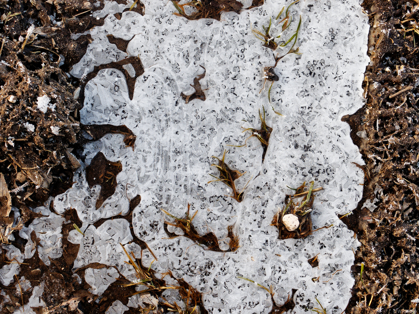 Frozen Land Art