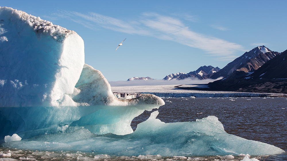 frozen landscape