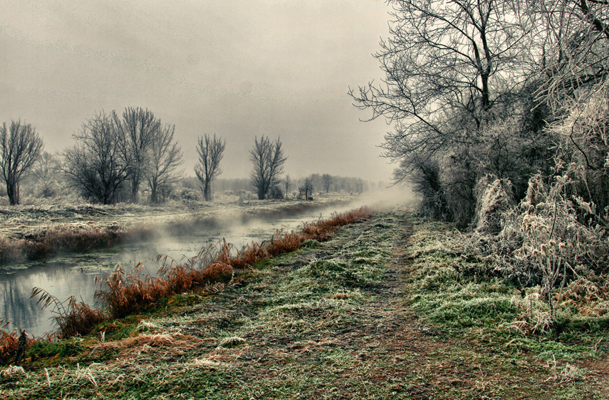 Frozen landscape