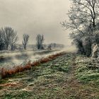 Frozen landscape