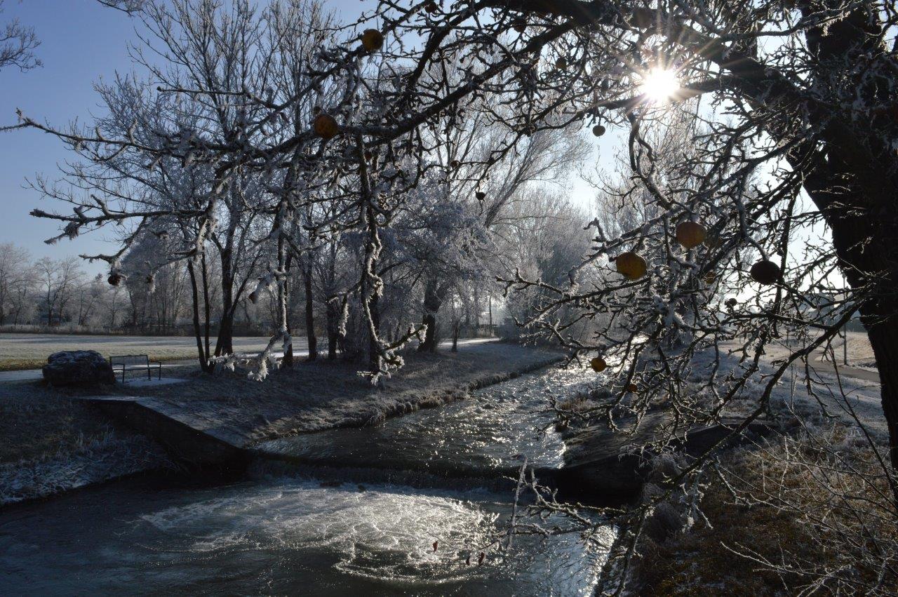 Frozen Landscape 