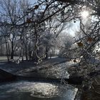 Frozen Landscape 