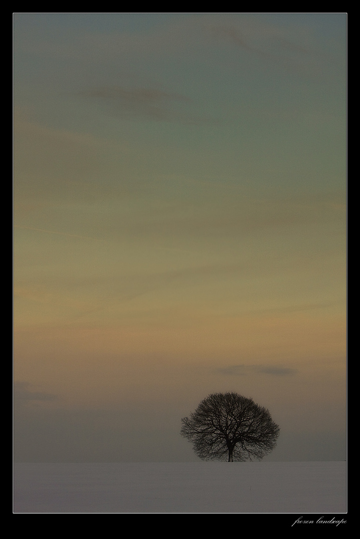 frozen landscape