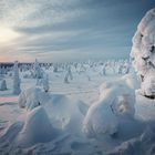 Frozen Lapland
