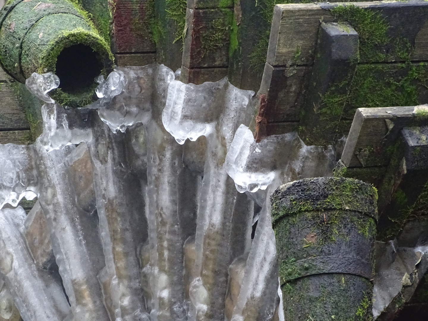 Frozen Mill