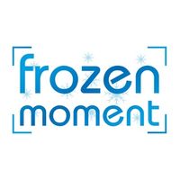 Frozen-Moment