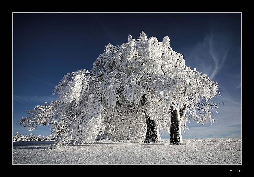 "Frozen Moments"