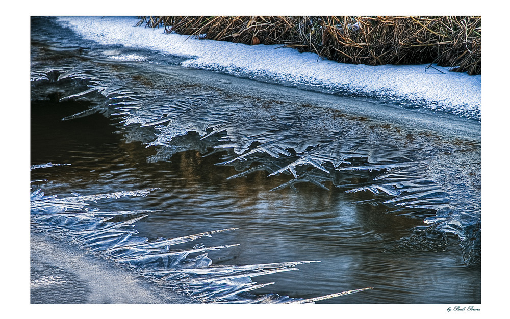 frozen morning