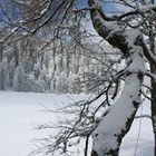 Frozen Mummelsee