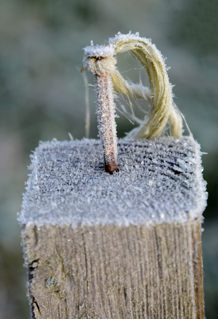 Frozen nail and rope