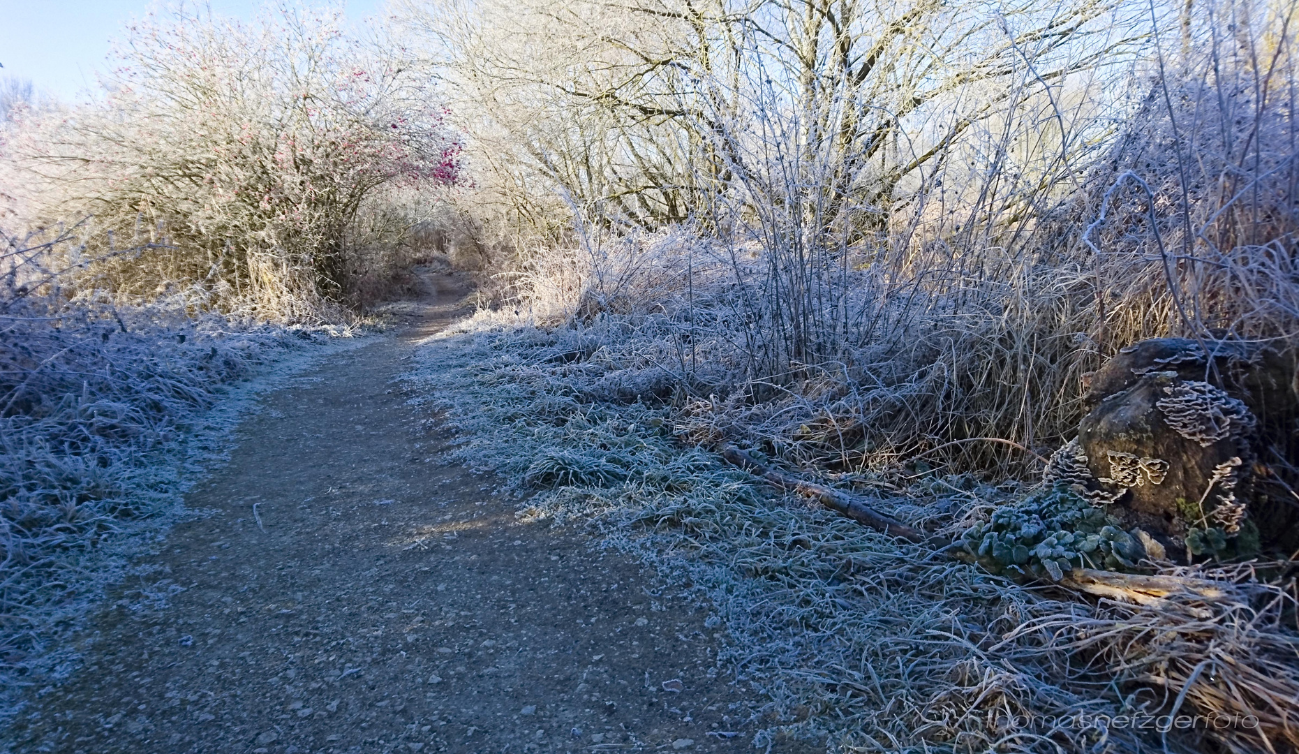 frozen path