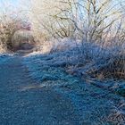 frozen path