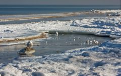 Frozen Poland