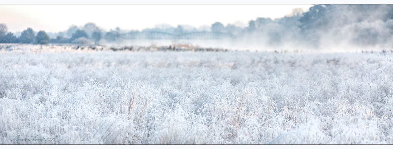 Frozen Prairie