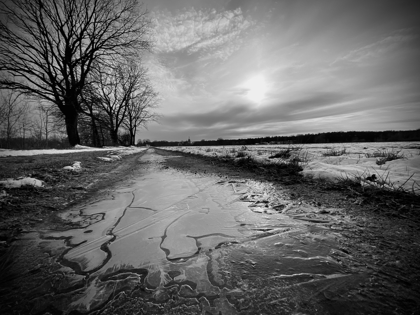 frozen puddles