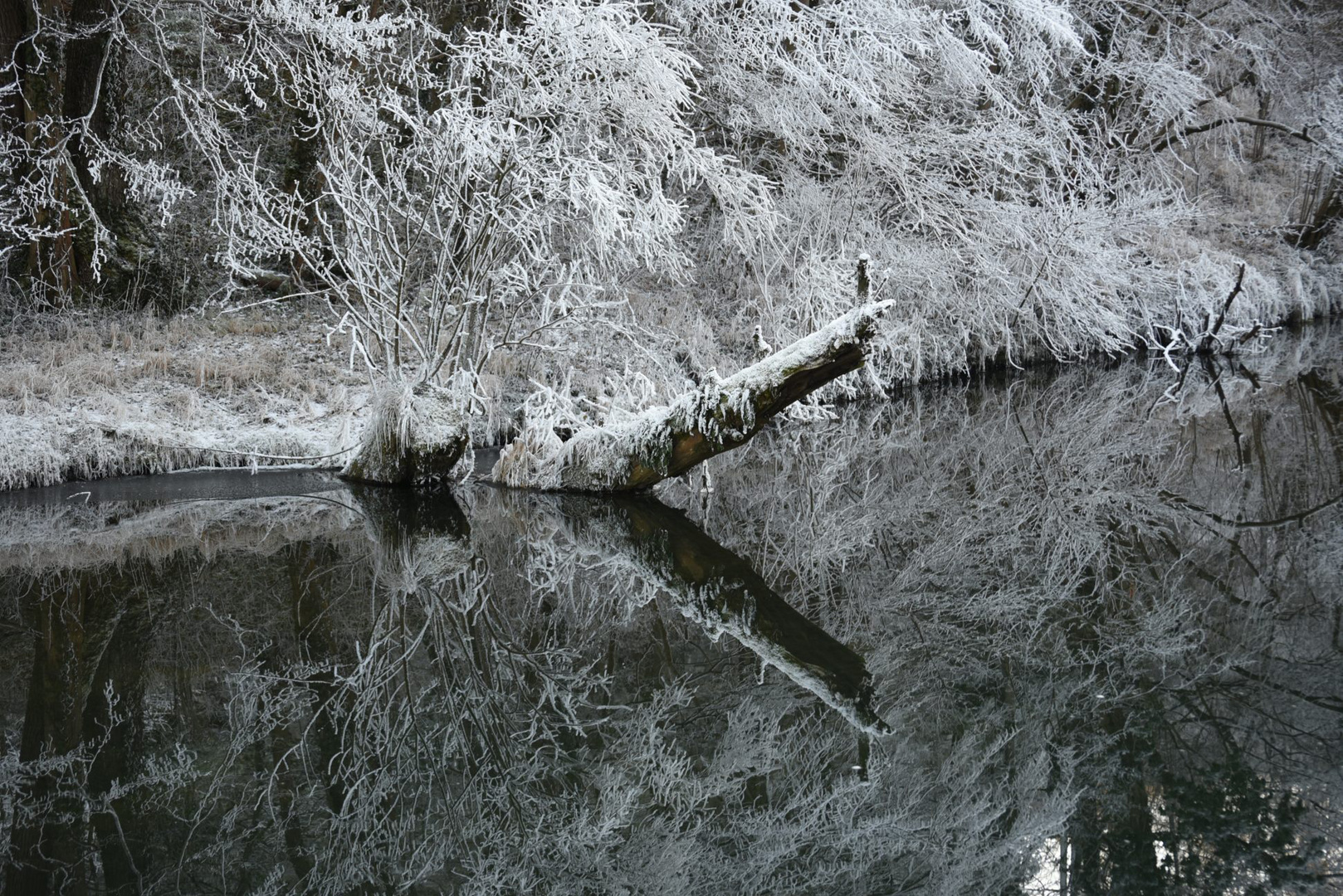 Frozen River I