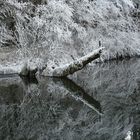 Frozen River I