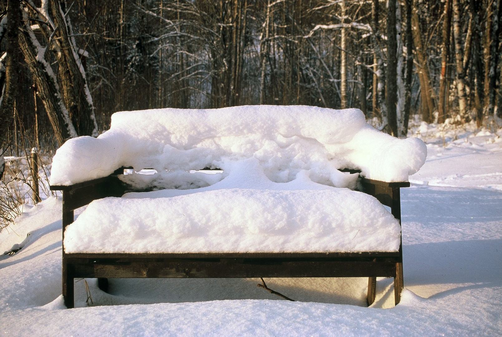 Frozen seat