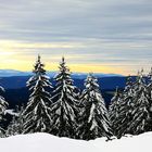 Frozen Skyline