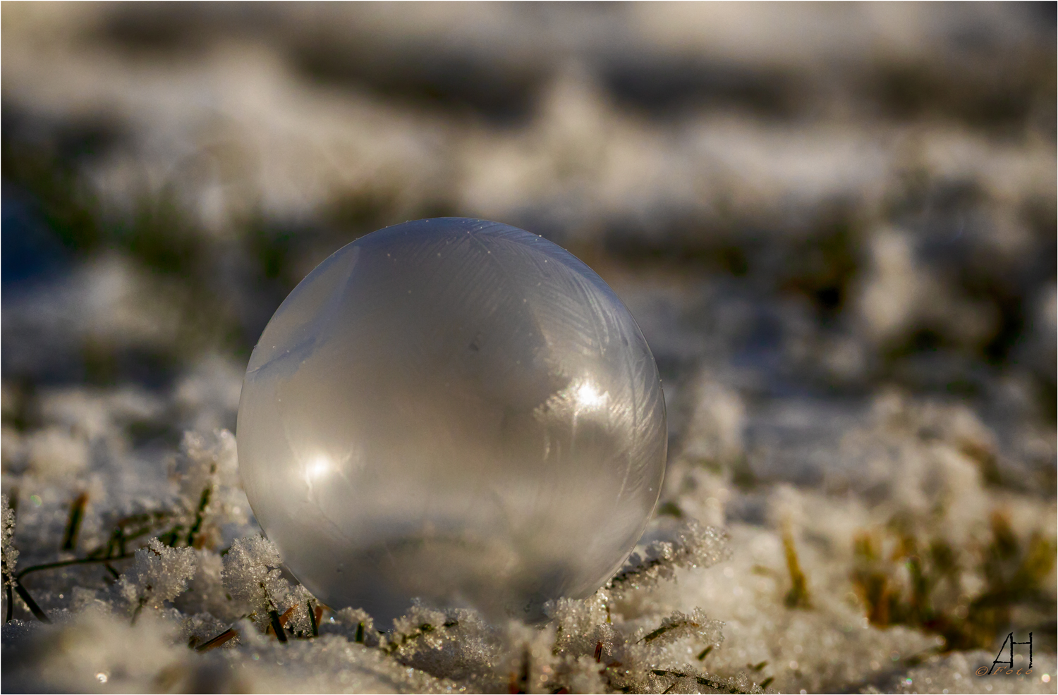 Frozen-soap-bubble