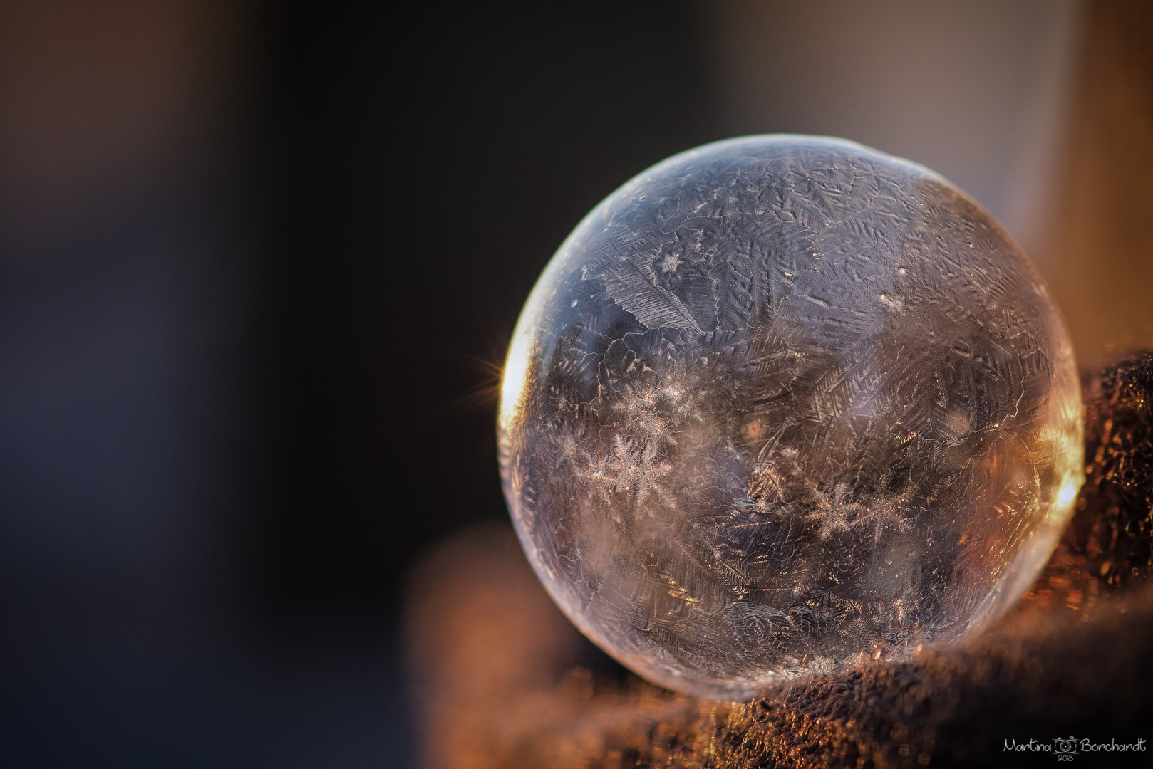 frozen Soap bubble