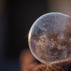 frozen Soap bubble