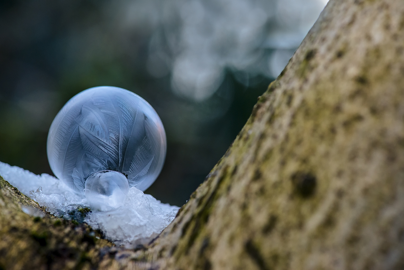 frozen soap bubbles