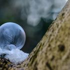 frozen soap bubbles