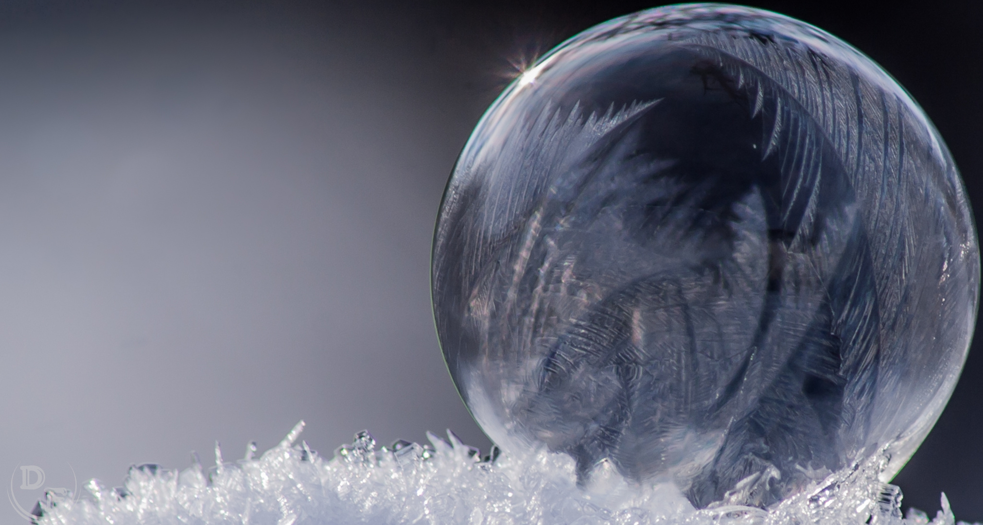 Frozen Soapbubble