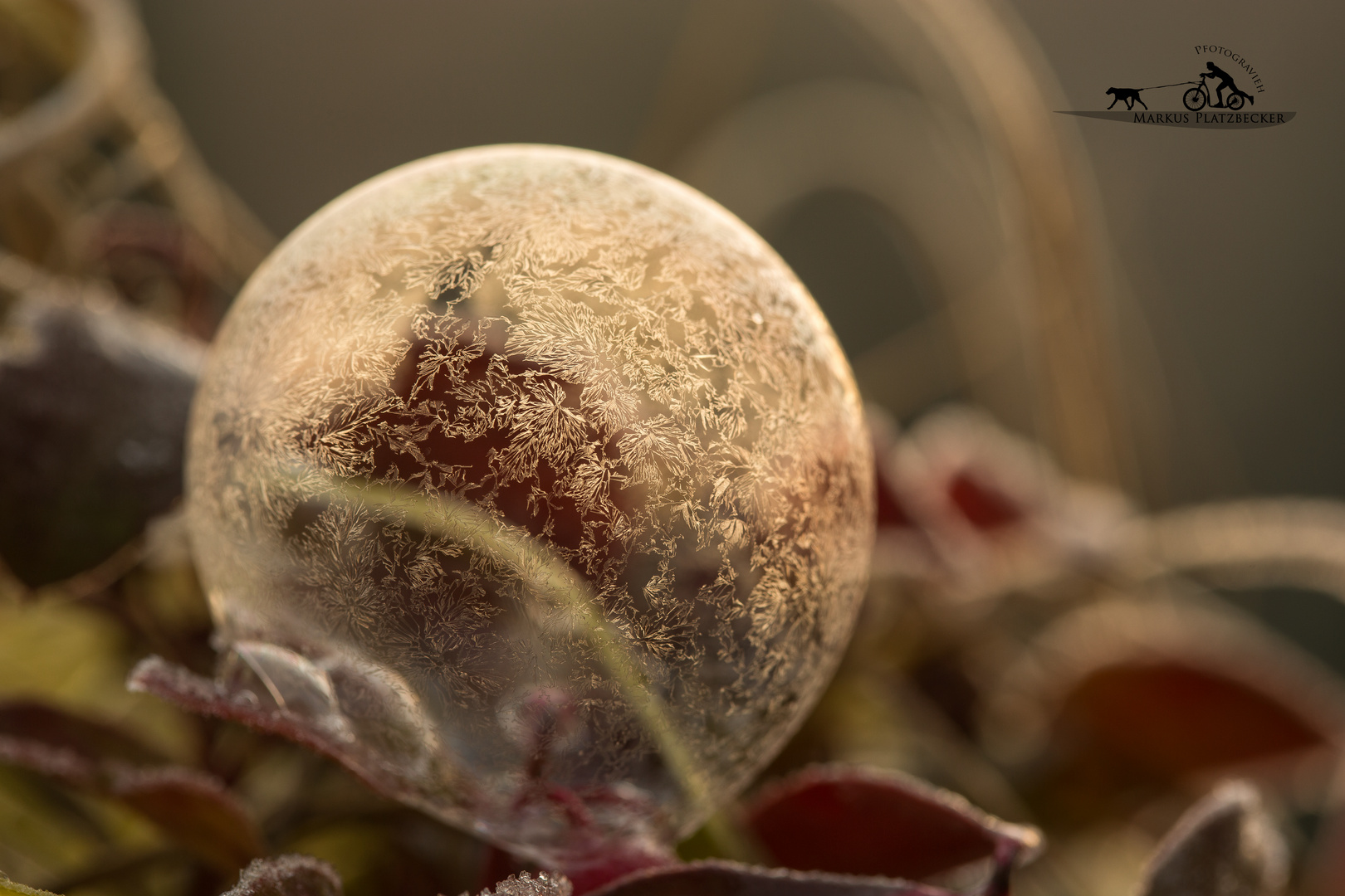 Frozen Soapbubble