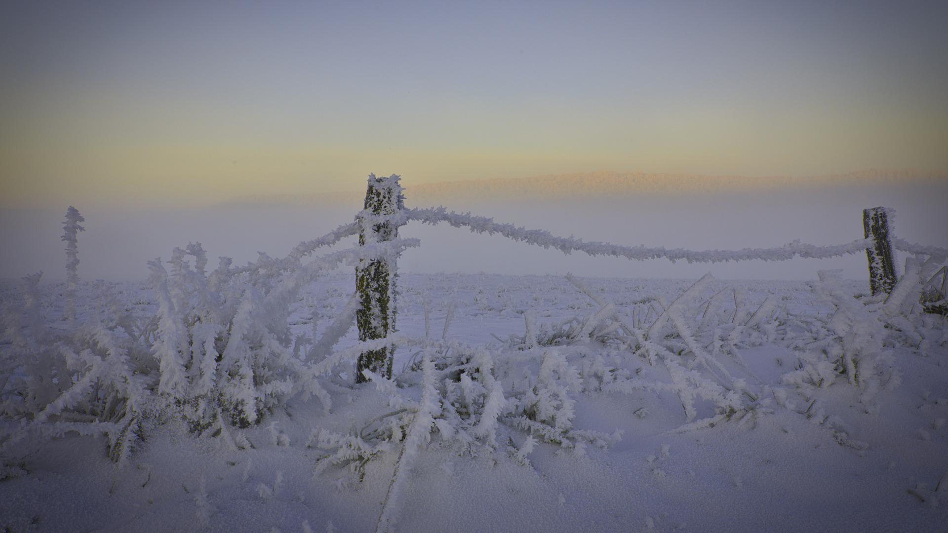 Frozen sunday morning,