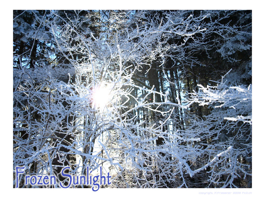 Frozen Sunlight