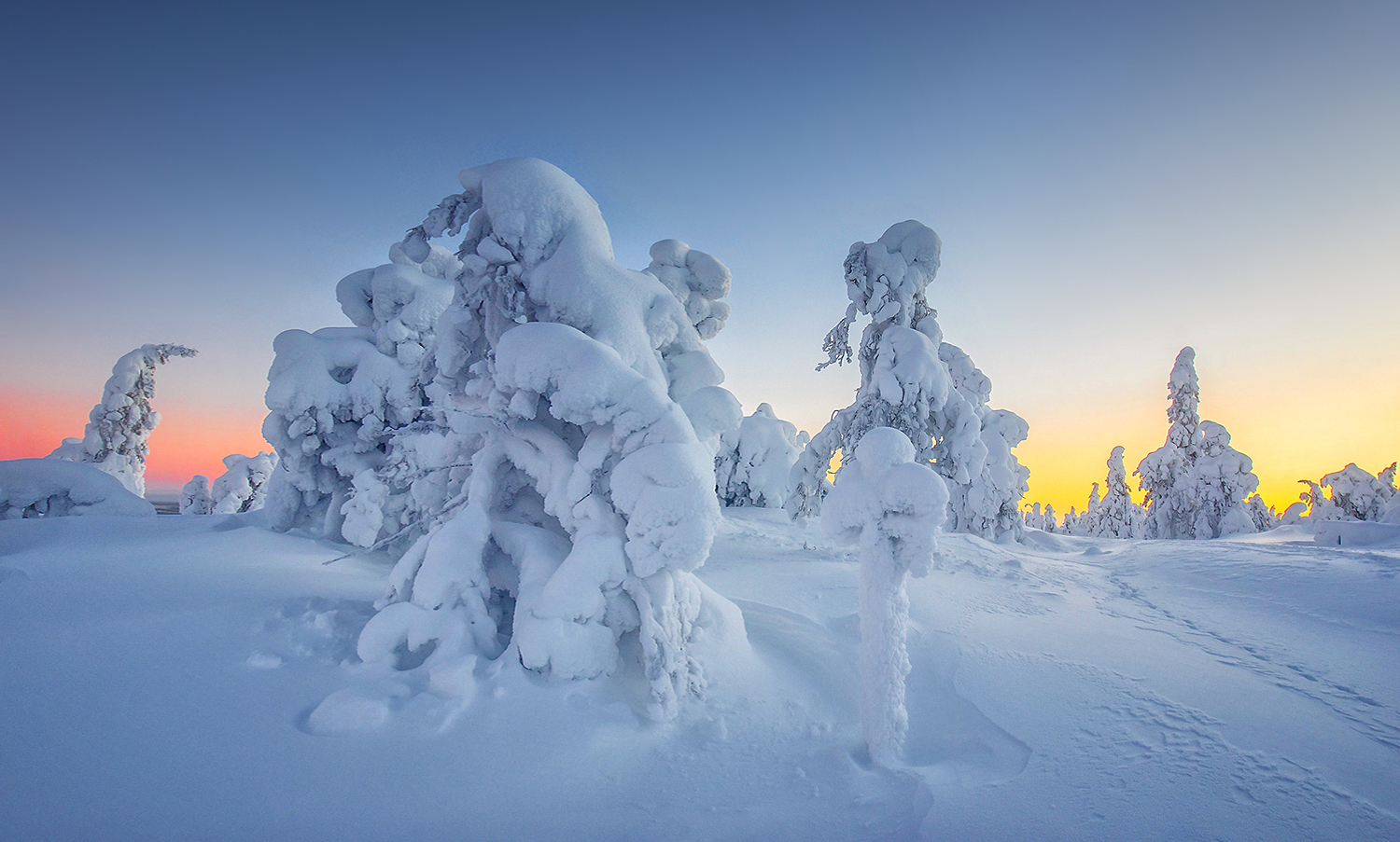 Frozen Sunset