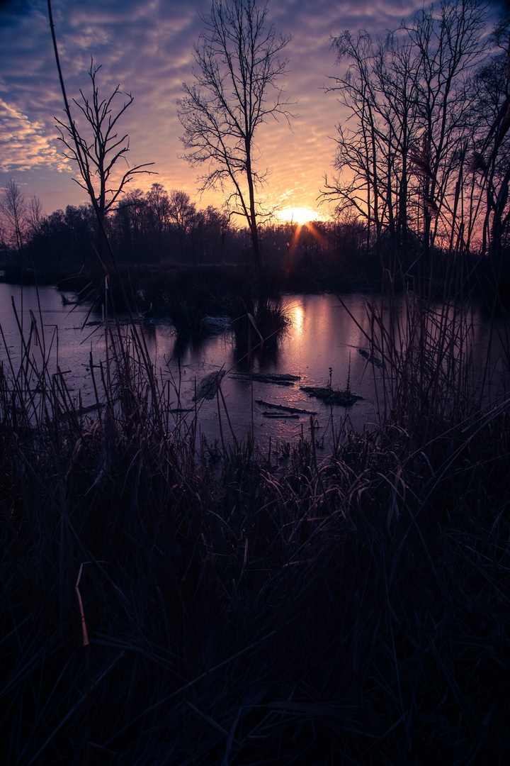 Frozen Sunset