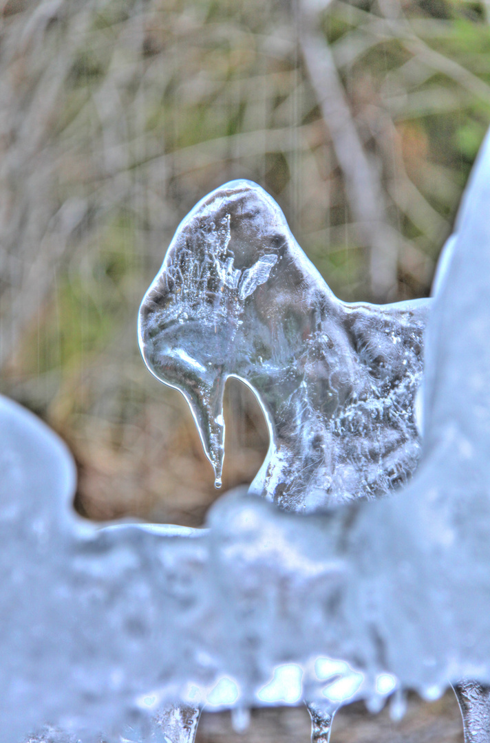 frozen SWAN