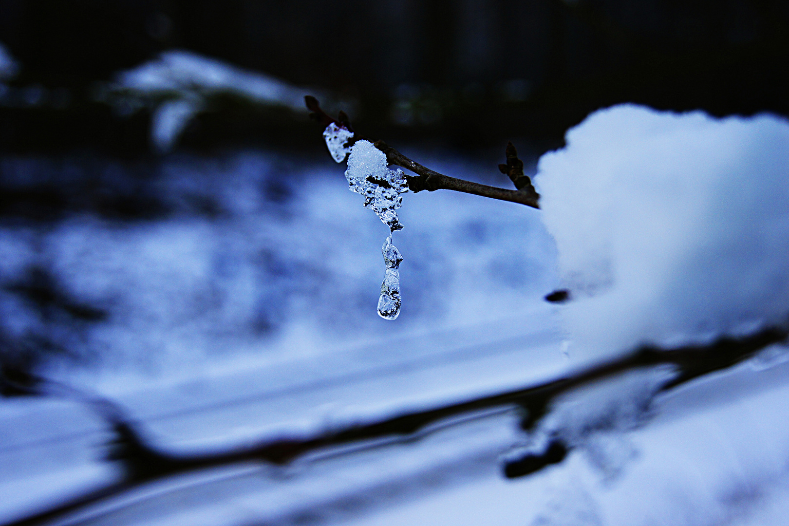 frozen tear