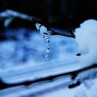 frozen tear