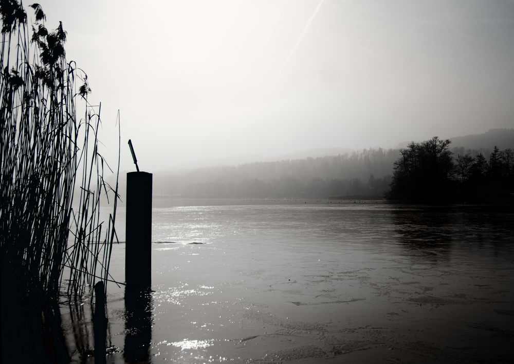 frozen times von Rez Sous-Terre 