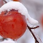 Frozen to the core.