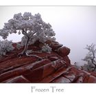 Frozen Tree