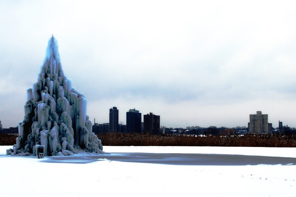 Frozen Tree