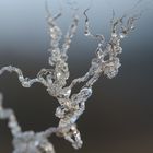 frozen water